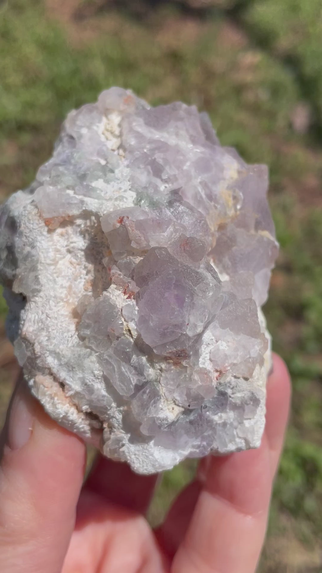 New Mexico Fluorite