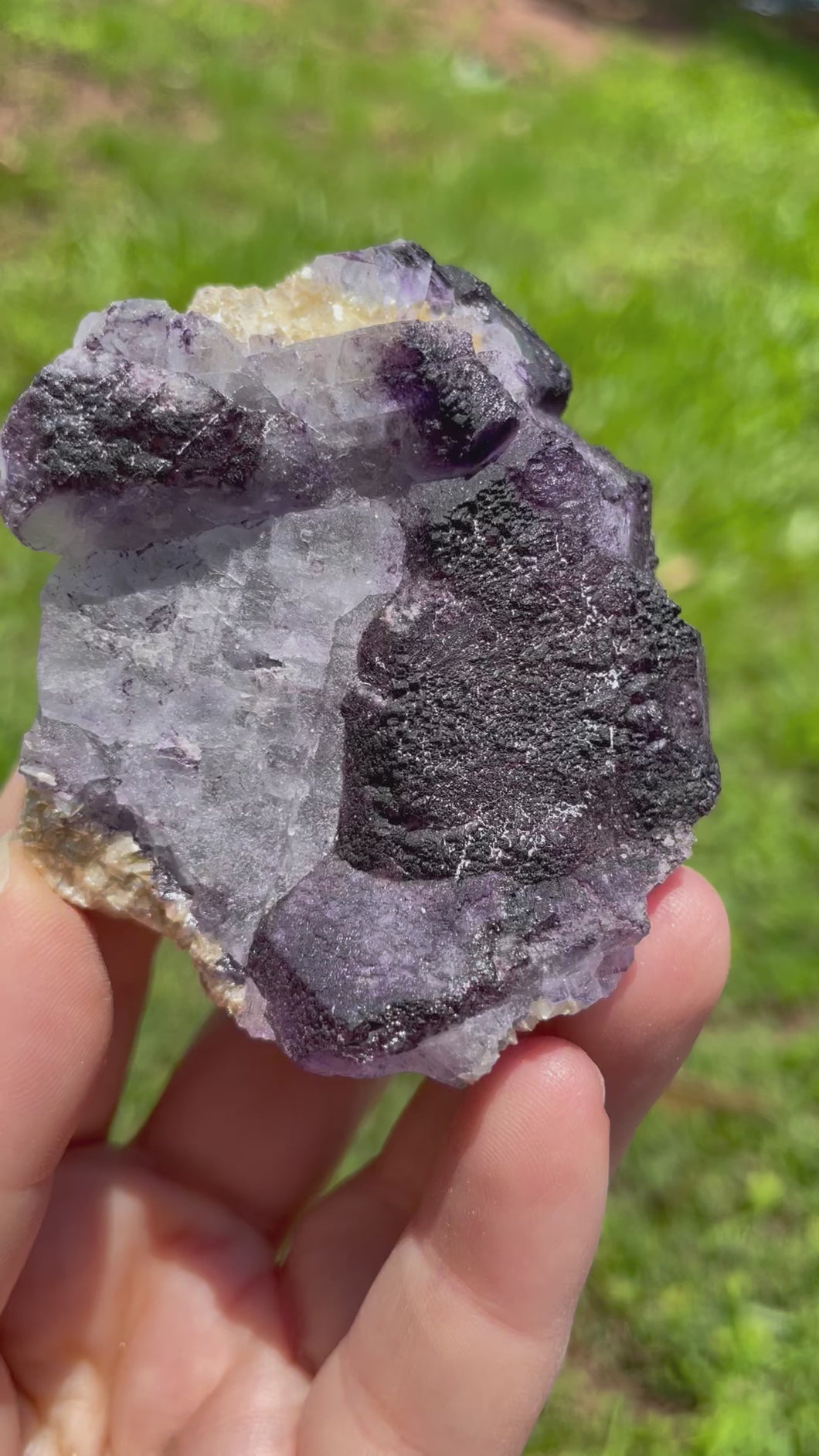Erongo Fluorite