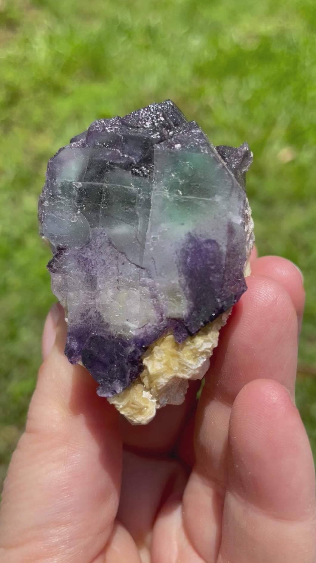 Erongo Fluorite