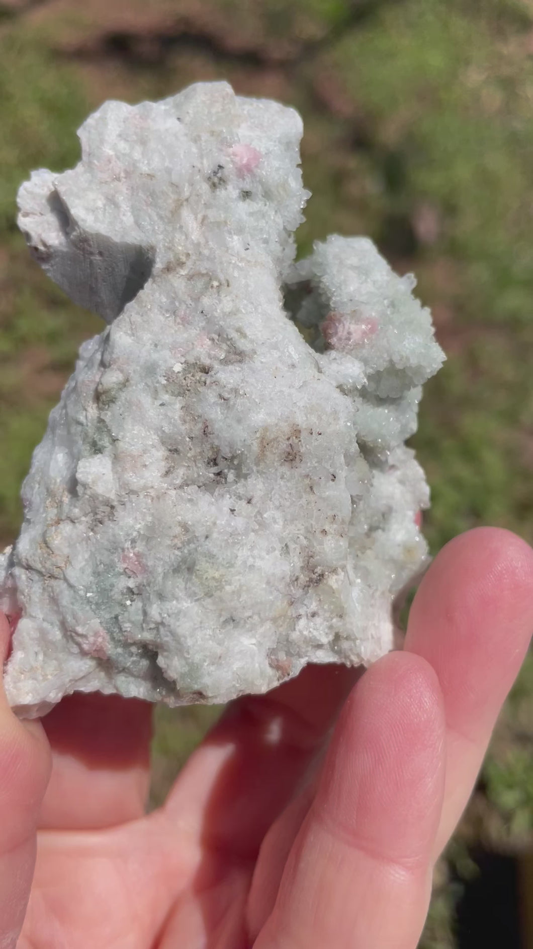 Colorado Rhodochrosite on Chlorite Quartz