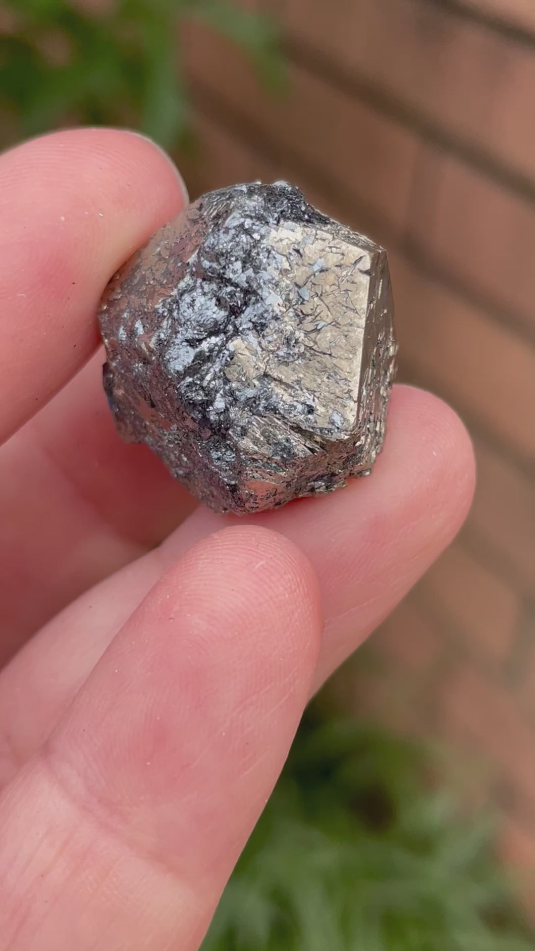 Pyrite with Hematite